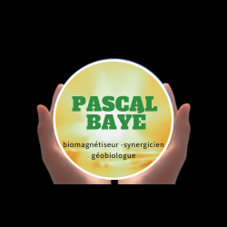 logo - Pascal Bayé - Biomagnétiseur synergicien & Géobiologue - Maubeuge - Valenciennes - Cambrai