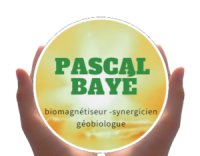 Logo - Pascal Bayé - Biomagnétiseur synergicien & Géobiologue - Maubeuge - Valenciennes - Cambrai