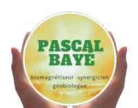 logo wé3 Logo - Pascal Bayé - Biomagnétiseur synergicien & Géobiologue - Maubeuge - Valenciennes - Cambrai